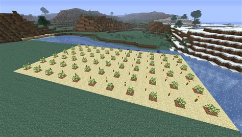 How To Plant Oak Trees In Minecraft Mast Producing Trees