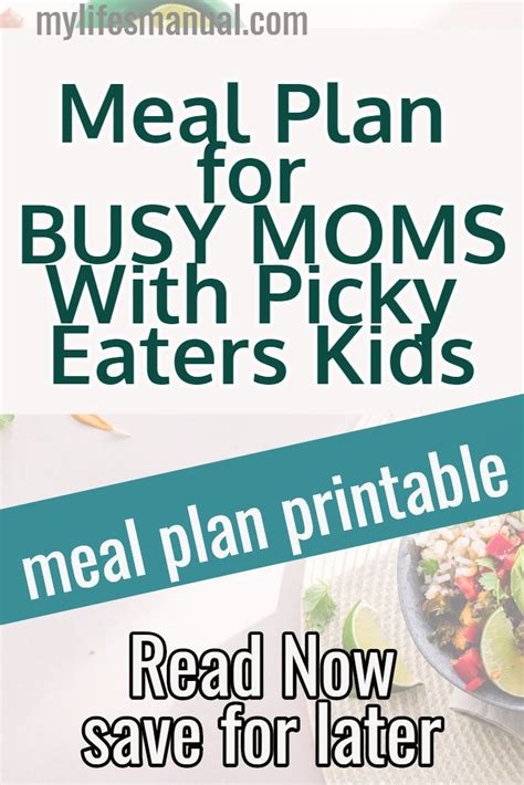 The picky eater, san francisco, ca. Meal Planning Binder and Beginners Guide for Busy Moms ...