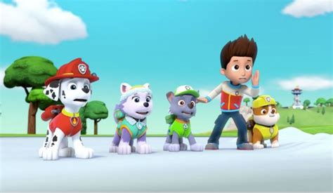 Pin By Christopher Sam On Paw Patrol Paw Patrol Pups Paw Paw Patrol