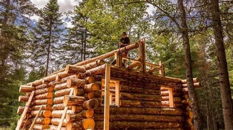 Building An Off Grid Log Cabin Alone In The Wilderness Ep17 Framing