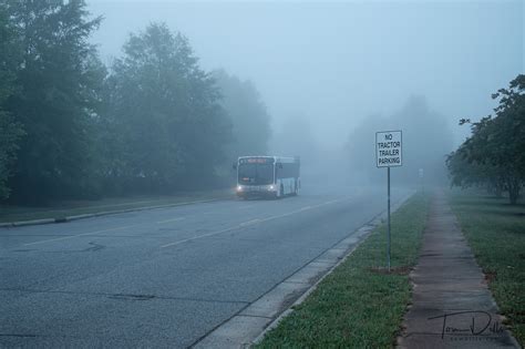 Photos From An Early Walk On A Foggy Morning Tom Dills Photography Blog