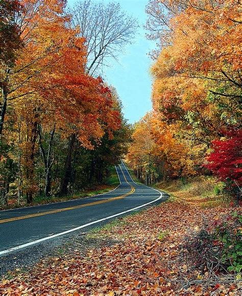 Kentucky Autumn Road Beautiful Roads Autumn Scenery Landscape