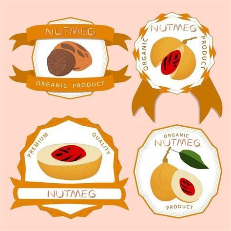 illustration sur le thème grand ensemble différents types d épices noix