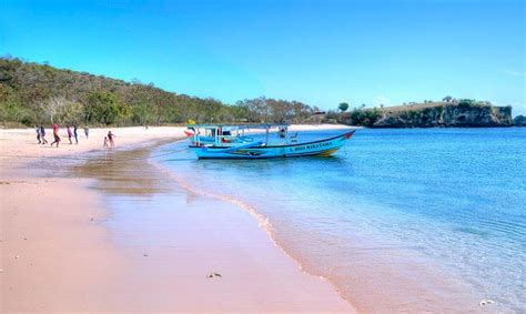 Pink Beach Lombok Info Tiket Masuk Terbaru And Lokasi Pagguci