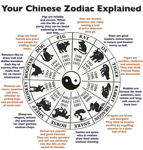 Zodiac signs and their animals zodiac signs and animals are closely related, since some star signs actually represent animal. Chinese Zodiac | CANCER WOMAN | Pinterest | A snake, A ...