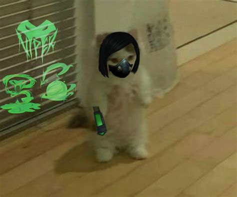Gamer Cat Gamer Girl Sanrio Wallpaper Cat Icon Grunge Girl Anime