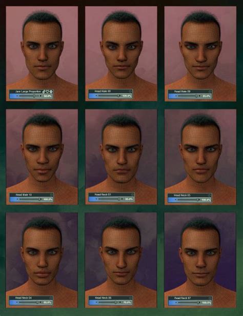 Genesis 3 Male Face And Body Morph Resource Kit 3d Models For Poser And
