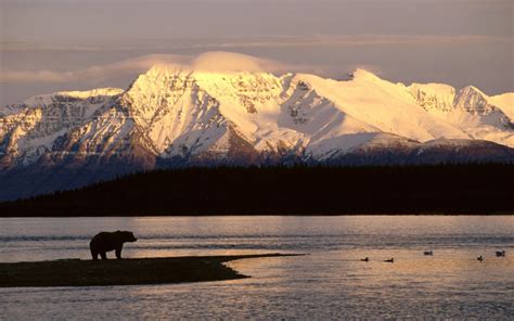 Download Free Alaska Backgrounds | PixelsTalk.Net