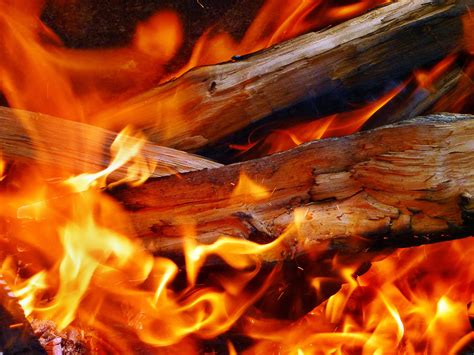Fire Wood In A Fire • Pizzeria Rustica