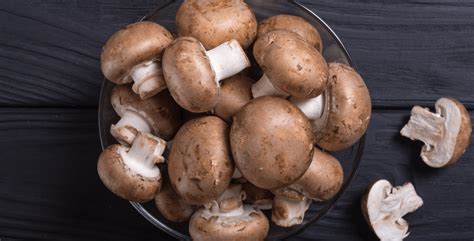 How To Tell If Mushrooms Are Bad A Complete Guide To Their Shelf Life