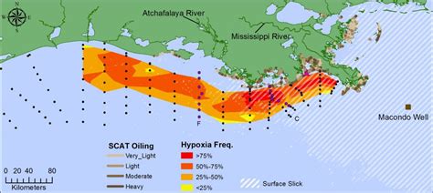 Study Finds “business As Usual” For Hypoxic Zone Following Deepwater