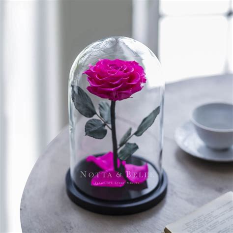 Over Different Options Of Rose In Glass Dome Free UK Delivery