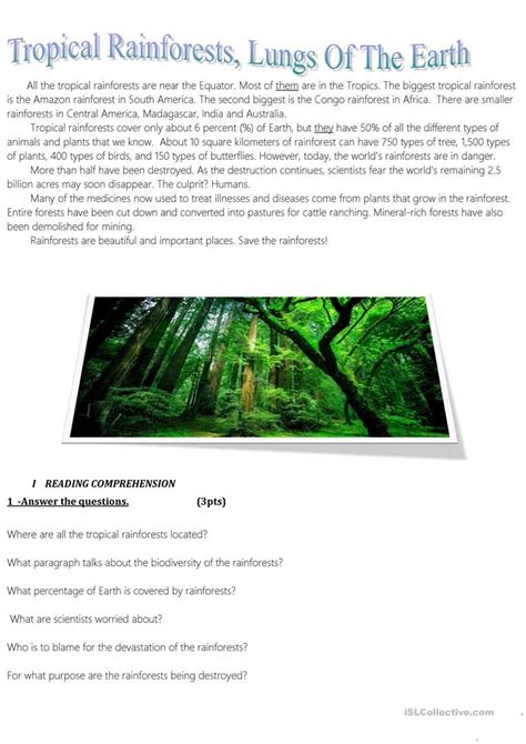 How Can We Save The Rainforests Worksheet Free ESL Printable Worksheets Made By Teachers
