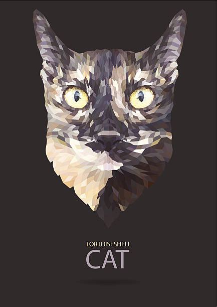 Top 60 Tortoiseshell Cat Clip Art Vector Graphics And Illustrations