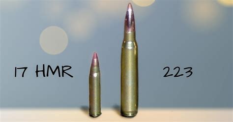 17 Hmr Vs 223 Whats The Difference