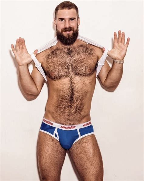 Hairy Bear Bears In Tighty Whities Barbe Sans Moustache Poilus Et Homme Poilu