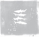 Shark Remixes Volumes 1, 2, 3 & 4 [Digipak] by My Brightest Diamond (CD ...