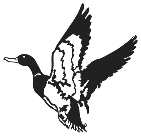 Duck Mallard Decal Waterfowl hunting - duck png download - 700*676 gambar png