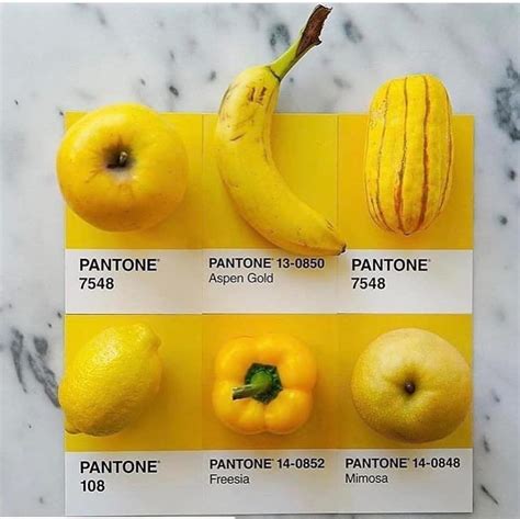 [new] the 10 best home decor today with pictures homedecor pantone colour palettes yellow