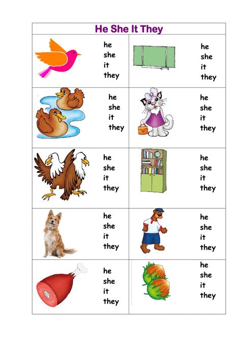 READ Unit 2 HE SHE IT THEY worksheet