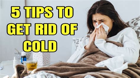 Do you have the larger roach (about 1.5 inches) that lives mostly outside and come inside occasionally? 5 Tips On How To Get Rid Of A Cold - YouTube