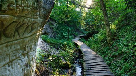 Hiking And Nature Tours Visit Estonia