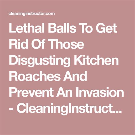 Lethal Balls To Get Rid Of Those Disgusting Kitchen Roaches And Prevent An Invasion Prevention