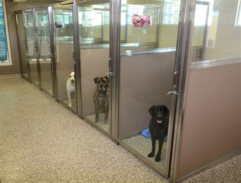 Veterinary Medical Center Of St Lucie County Hospital Design