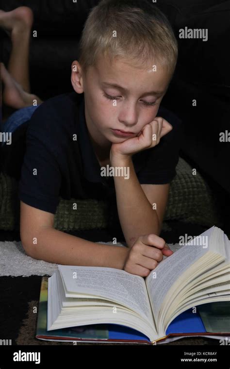 Young Boy Reading A Book Stock Photo Alamy