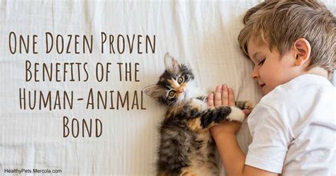 Benefits Of The Human Animal Bond