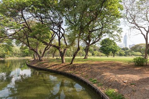 Lumpini Park In Bangkok Viewed From Above Stock Photo Image Of Nature Landscape