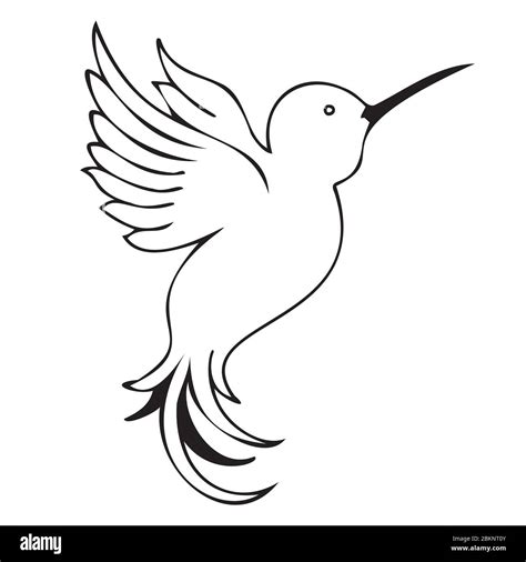 Hummingbird Silhouette Vector Illustration Cartoon Drawing Of