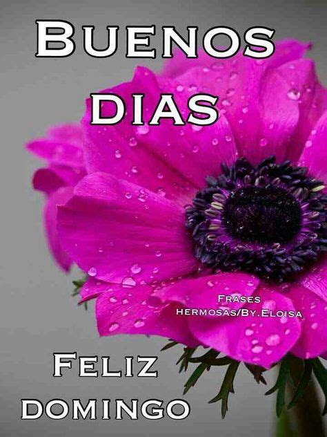 46 Feliz Domingo Ideas Sunday Greetings Blessed Sunday Happy