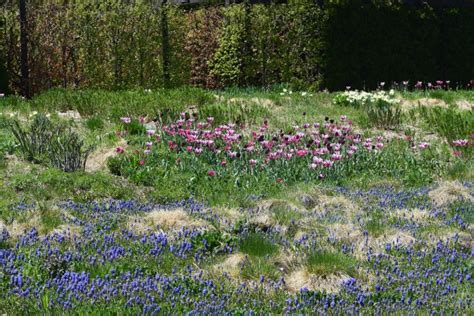 The Lurie Garden In May 2018 Gardeninacity