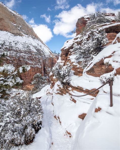 Why you definitely need to visit Zion National Park in Winter — Walk My