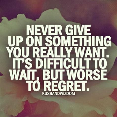Never Give Up On Something You Really Want Never Give Up Quotes