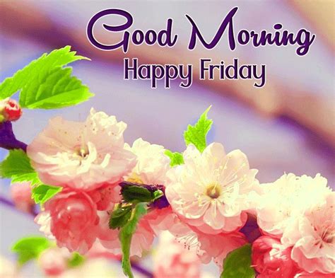 Good Morning Have A Nice Friday Images Free Good Morning Images