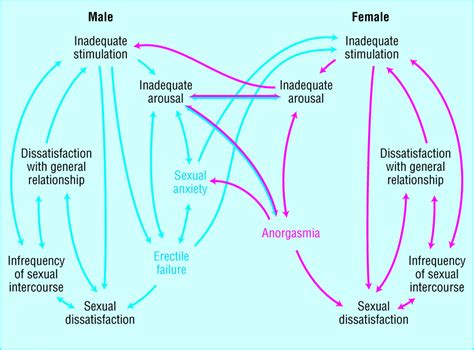 Assessing And Managing Male Sexual Problems The Bmj