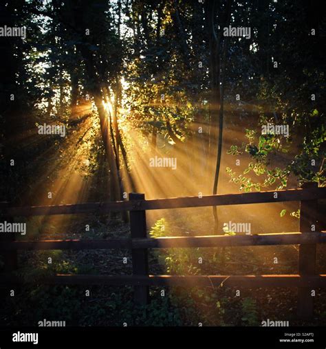 Sunrays With Sunrise Hi Res Stock Photography And Images Alamy