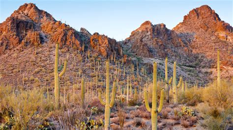 Hike In Tucson And The Sonoran Desert With Rei Rei Co Op