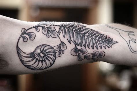 Ka Ta Chambered Nautilus Shell Tattoos Fibonacci Spiral Tattoo