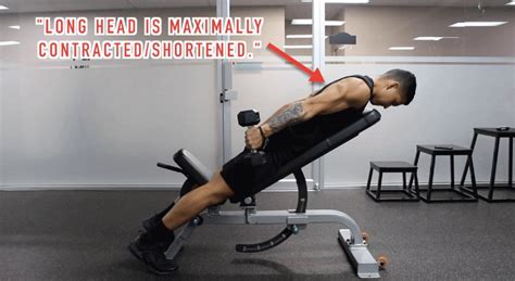 This is a compound movement. The Best Tricep Workout Exercises for Long Heads