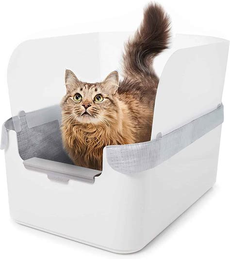 Best Litter Boxes For High Spraying Cats High Side Litter Boxes