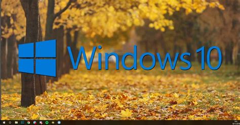 Fondo Escritorio Windows 10 Naturaleza Noche Bosque Rocas Lagos Windows