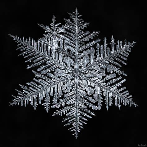 Snowflake A Day 72 Giant Snowflakes Always Have A Majest Flickr