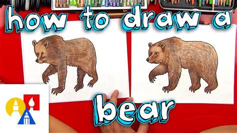 Grizzly Bears Drawing Draw Spaces
