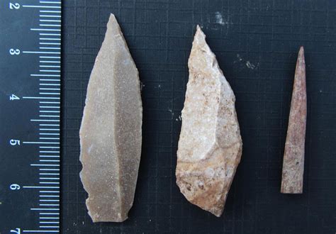 Stone Tools From Jordan Point To Dawn Of Division Of Labor