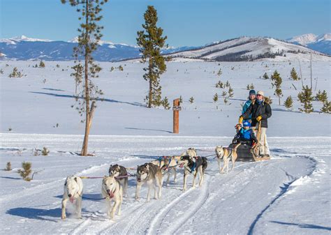 Where To Go Dog Sledding In Colorado Insider Families