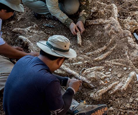 Search for courses, universities, institutes, student. How to become Geologist in Malaysia |Afterschool.my