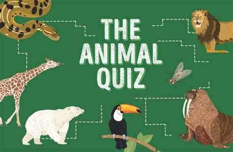 Take Our Animal Quiz Animal Quiz Animals For Kids Animals